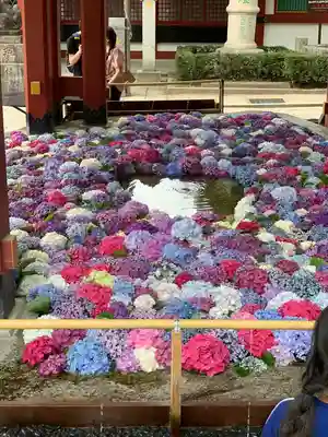 太宰府天満宮(福岡県)