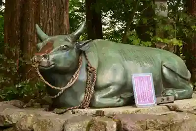 大山寺(鳥取県)