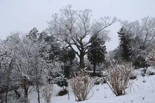 阿久津「田村神社」（郡山市阿久津町）旧社名：伊豆箱根三嶋三社の景色