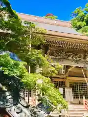 龍福寺の本殿