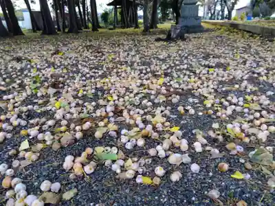 五社神社(滋賀県)