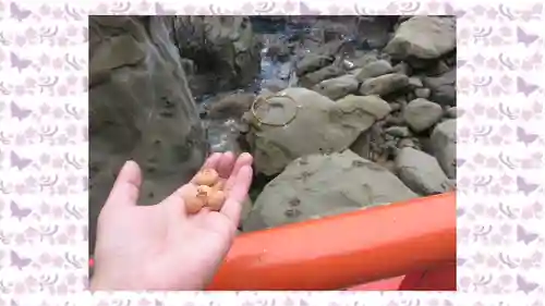 鵜戸神宮(宮崎県)