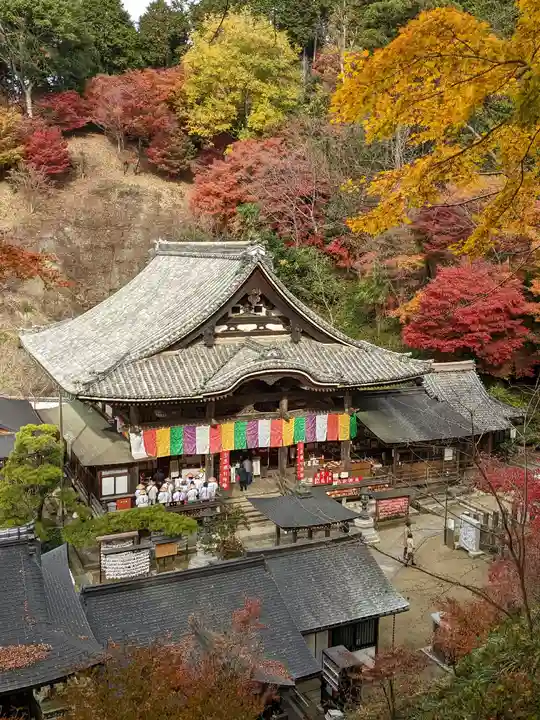 岡寺(龍蓋寺)(奈良県)
