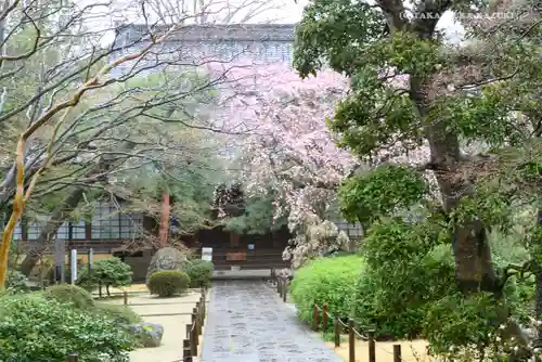 中院の庭園