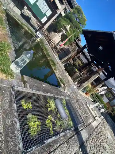 華光寺(京都府)