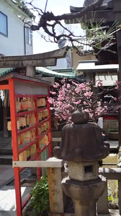 市比賣神社(京都府)
