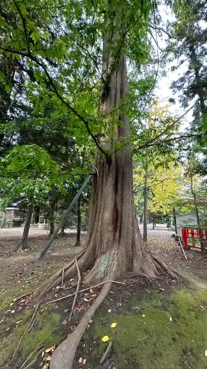 祇園八坂神社(宮城県)