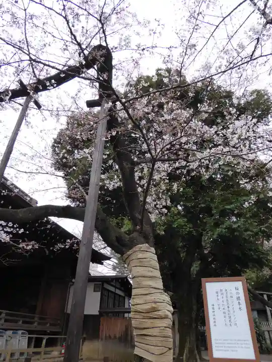 靖國神社(東京都)