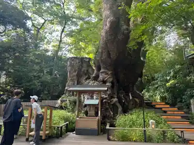 來宮神社(静岡県)