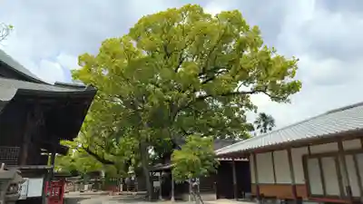 美奈宜神社(福岡県)