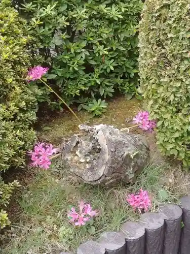 横浜　西方寺の自然