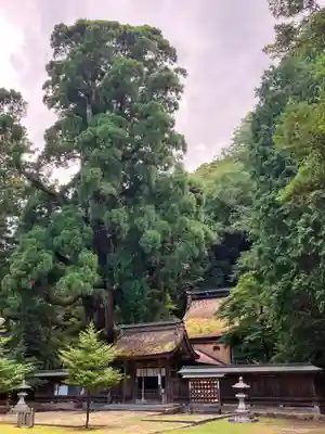若狭姫神社（若狭彦神社下社）(福井県)