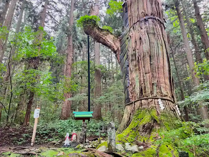 志和稲荷神社の自然