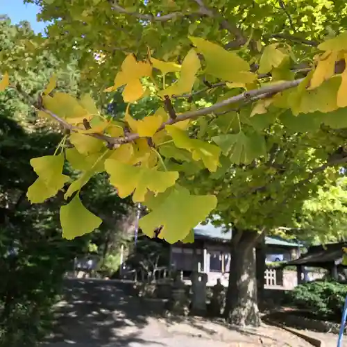 温泉神社～磐梯熱海温泉～の自然