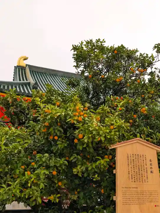 平安神宮の{uncategorized: "未分類", other: "その他", undefined: "問題あり", building: "その他建物", grave: "お墓", sacred_gate: "鳥居", guardian: "狛犬", statue: "像", buddha: "仏像", history: "歴史", nature: "自然", garden: "庭園", animal: "動物", pagoda: "塔", temizu: "手水舎", mountain_gate: "山門・神門", sanctuary: "本殿・本堂", subordinate: "末社・摂社", art: "芸術", scenery: "景色", jizo: "地蔵", ema: "絵馬", goshuin: "御朱印", omikuji: "おみくじ", items: "授与品その他", amulet: "お守り", goshuincho: "御朱印帳", eats: "食事", festival: "お祭り", votive_dance: "神楽", shichigosan: "七五三参", wedding: "結婚式", experience: "体験その他", initially: "初詣", around: "周辺", anti_infection: "感染症対策"}