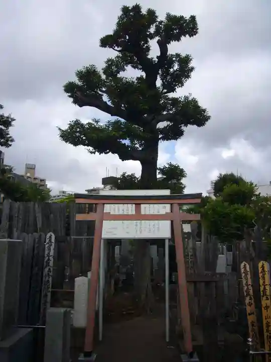 妙行寺(東京都)