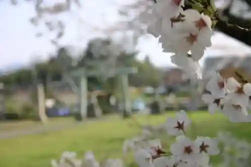 琵琶神社の自然