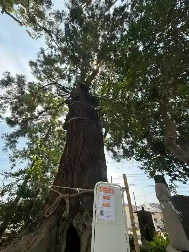 大國魂神社(福島県)