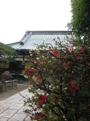 九品寺(神奈川県)