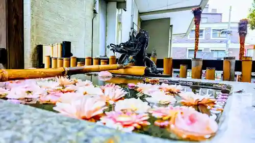 高円寺氷川神社の手水