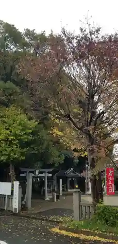 浅間神社の鳥居