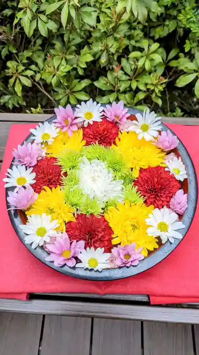 増上寺塔頭 三縁山 宝珠院の手水舎