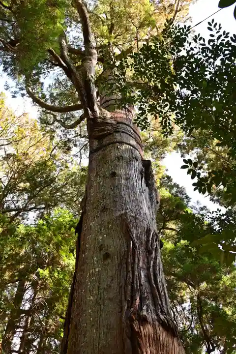 高千穂神社(宮崎県)