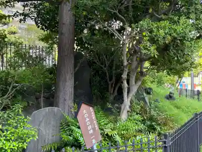 亀戸浅間神社(東京都)