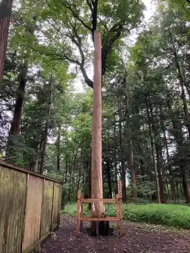 矢彦神社(長野県)