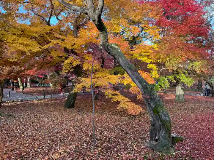 東福禅寺(東福寺)(京都府)