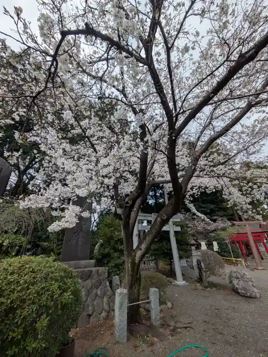 亀ケ池八幡宮(神奈川県)