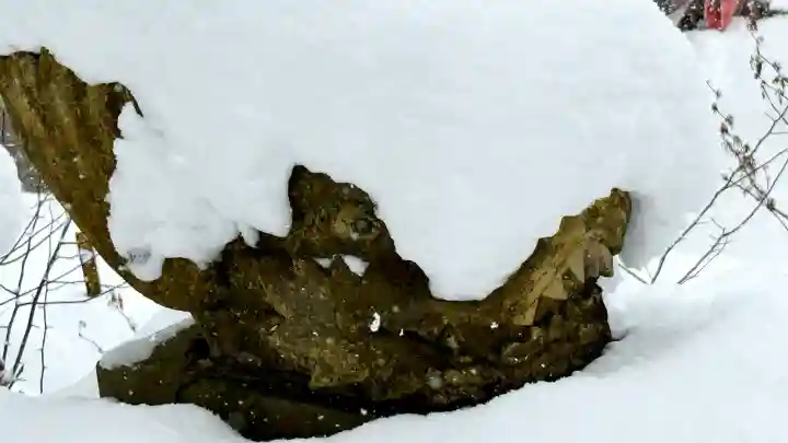 富川八幡宮の{uncategorized: "未分類", other: "その他", undefined: "問題あり", building: "その他建物", grave: "お墓", sacred_gate: "鳥居", guardian: "狛犬", statue: "像", buddha: "仏像", history: "歴史", nature: "自然", garden: "庭園", animal: "動物", pagoda: "塔", temizu: "手水舎", mountain_gate: "山門・神門", sanctuary: "本殿・本堂", subordinate: "末社・摂社", art: "芸術", scenery: "景色", jizo: "地蔵", ema: "絵馬", goshuin: "御朱印", omikuji: "おみくじ", items: "授与品その他", amulet: "お守り", goshuincho: "御朱印帳", eats: "食事", festival: "お祭り", votive_dance: "神楽", shichigosan: "七五三参", wedding: "結婚式", experience: "体験その他", initially: "初詣", around: "周辺", anti_infection: "感染症対策"}