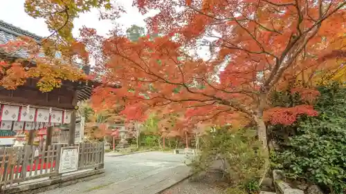 鍬山神社(京都府)