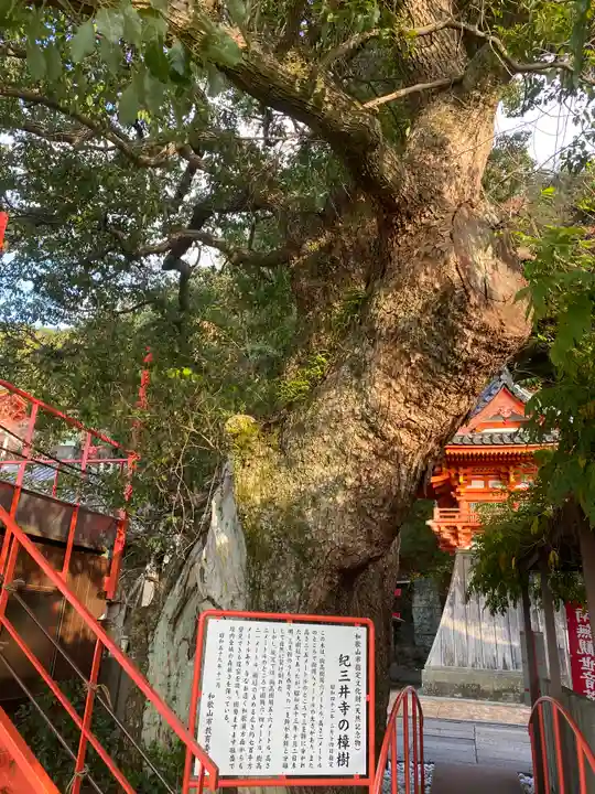 金剛宝寺(紀三井寺)(和歌山県)