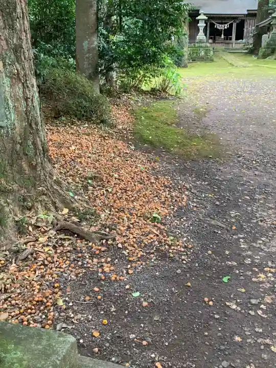 子安神社(茨城県)