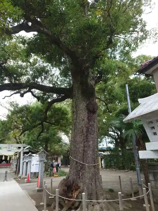 芳川神社(埼玉県)