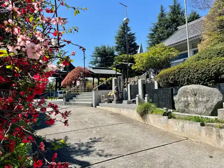 本立寺の{uncategorized: "未分類", other: "その他", undefined: "問題あり", building: "その他建物", grave: "お墓", sacred_gate: "鳥居", guardian: "狛犬", statue: "像", buddha: "仏像", history: "歴史", nature: "自然", garden: "庭園", animal: "動物", pagoda: "塔", temizu: "手水舎", mountain_gate: "山門・神門", sanctuary: "本殿・本堂", subordinate: "末社・摂社", art: "芸術", scenery: "景色", jizo: "地蔵", ema: "絵馬", goshuin: "御朱印", omikuji: "おみくじ", items: "授与品その他", amulet: "お守り", goshuincho: "御朱印帳", eats: "食事", festival: "お祭り", votive_dance: "神楽", shichigosan: "七五三参", wedding: "結婚式", experience: "体験その他", initially: "初詣", around: "周辺", anti_infection: "感染症対策"}