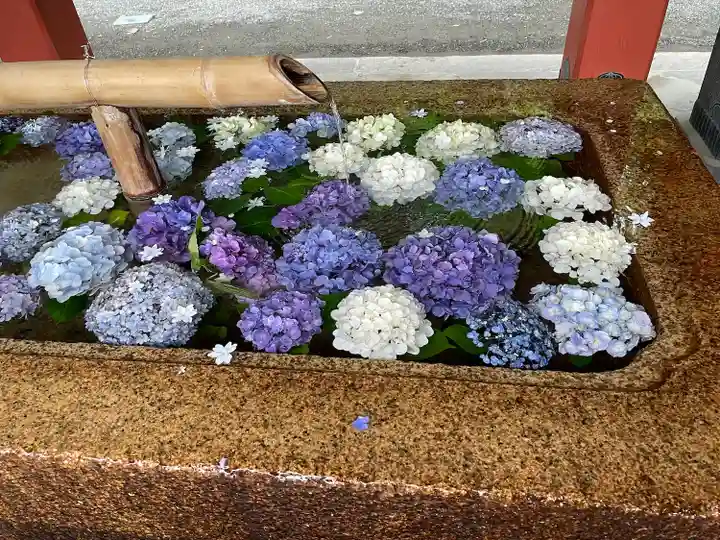 鶴岡八幡宮の手水舎