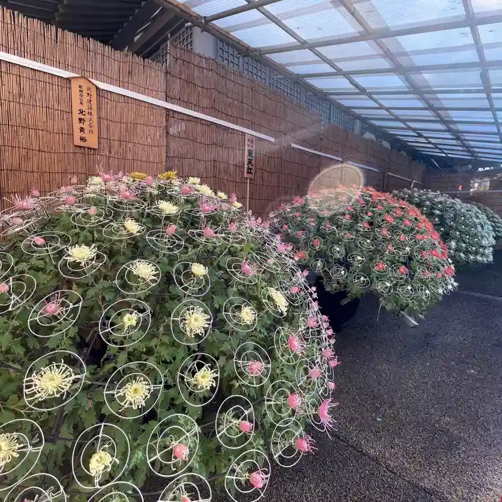 湯島天満宮の庭園