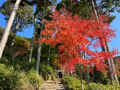圓光寺(京都府)