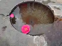 中山競馬場馬頭観音の手水舎