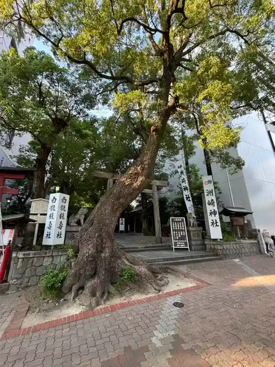 洲嵜神社(愛知県)