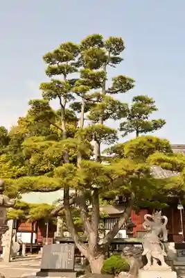 聖徳院(香川県)