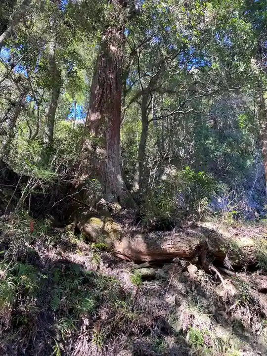 穴門山神社(岡山県)