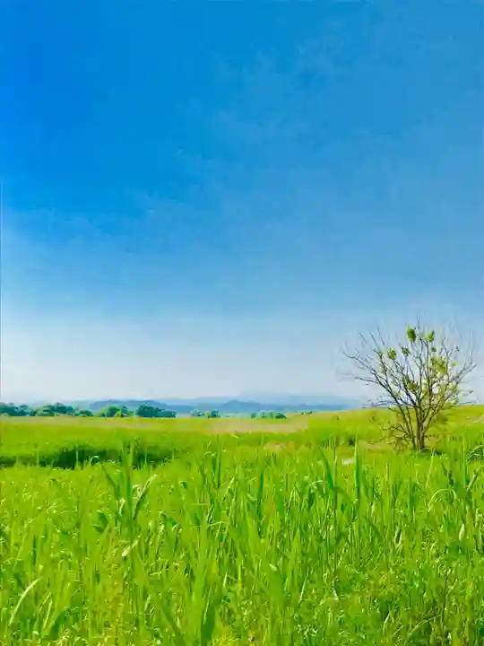 野木神社(栃木県)