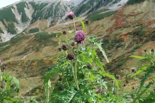 雄山神社峰本社(富山県)