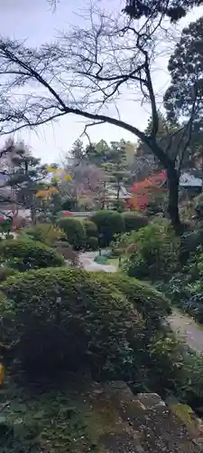 龍潭寺(静岡県)