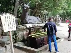 春日大社の手水