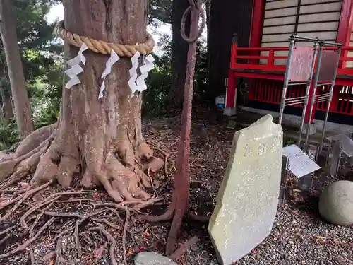 玉前神社(千葉県)