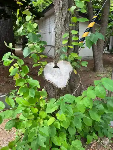 大谷地神社の自然